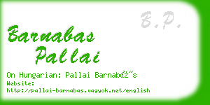 barnabas pallai business card